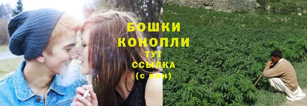 круглые Белокуриха