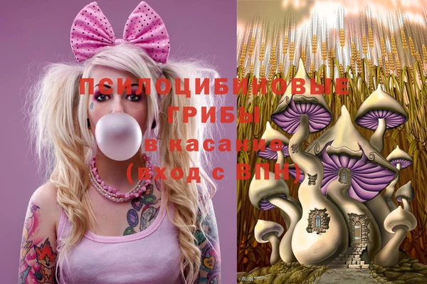 круглые Белокуриха