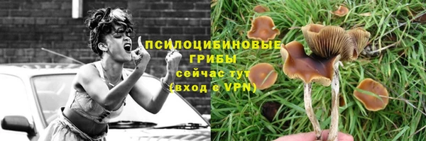 синтетический гашиш Белоозёрский