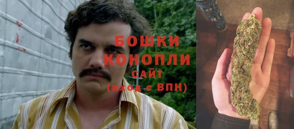 круглые Белокуриха